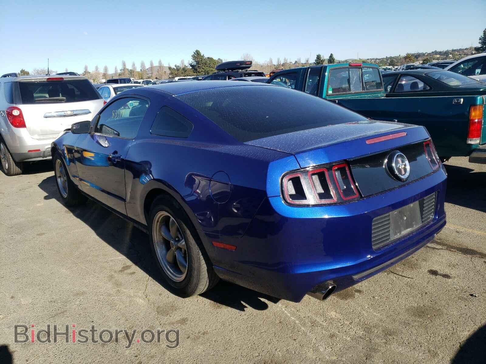 2014 FORD MUSTANG - VIN: 1ZVBP8AM8E5317021 - Фото 3