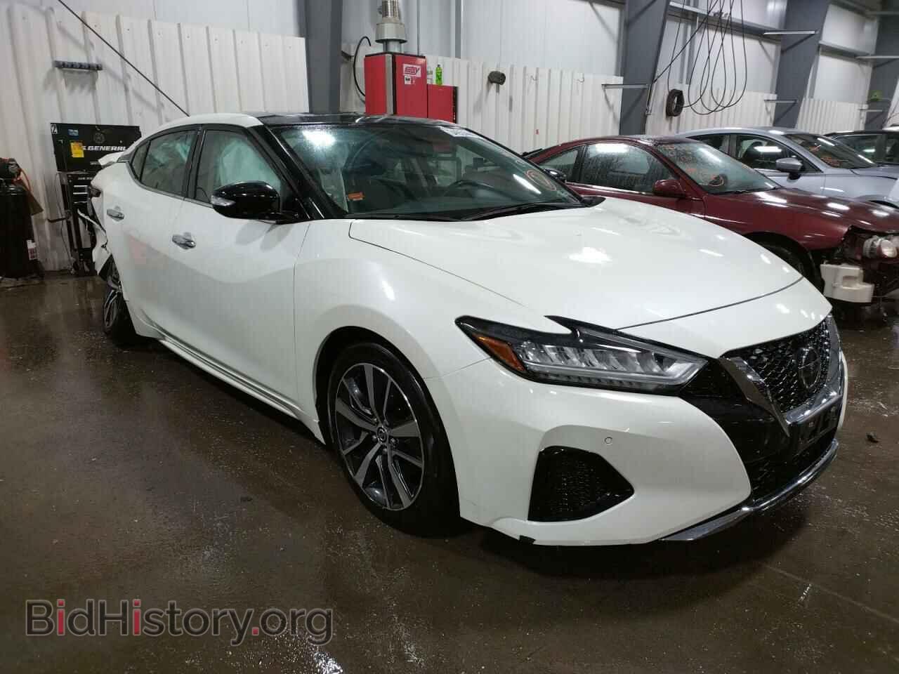 Photo 1N4AA6AV4KC378859 - NISSAN MAXIMA 2019