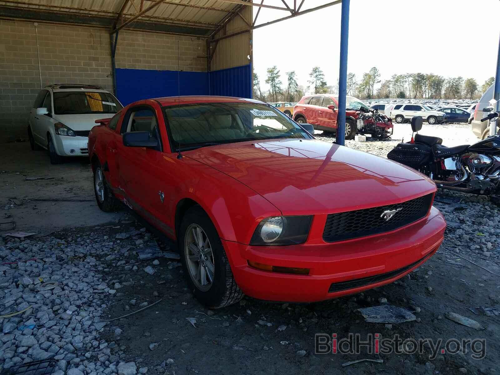 Photo 1ZVHT80N695118300 - FORD MUSTANG 2009