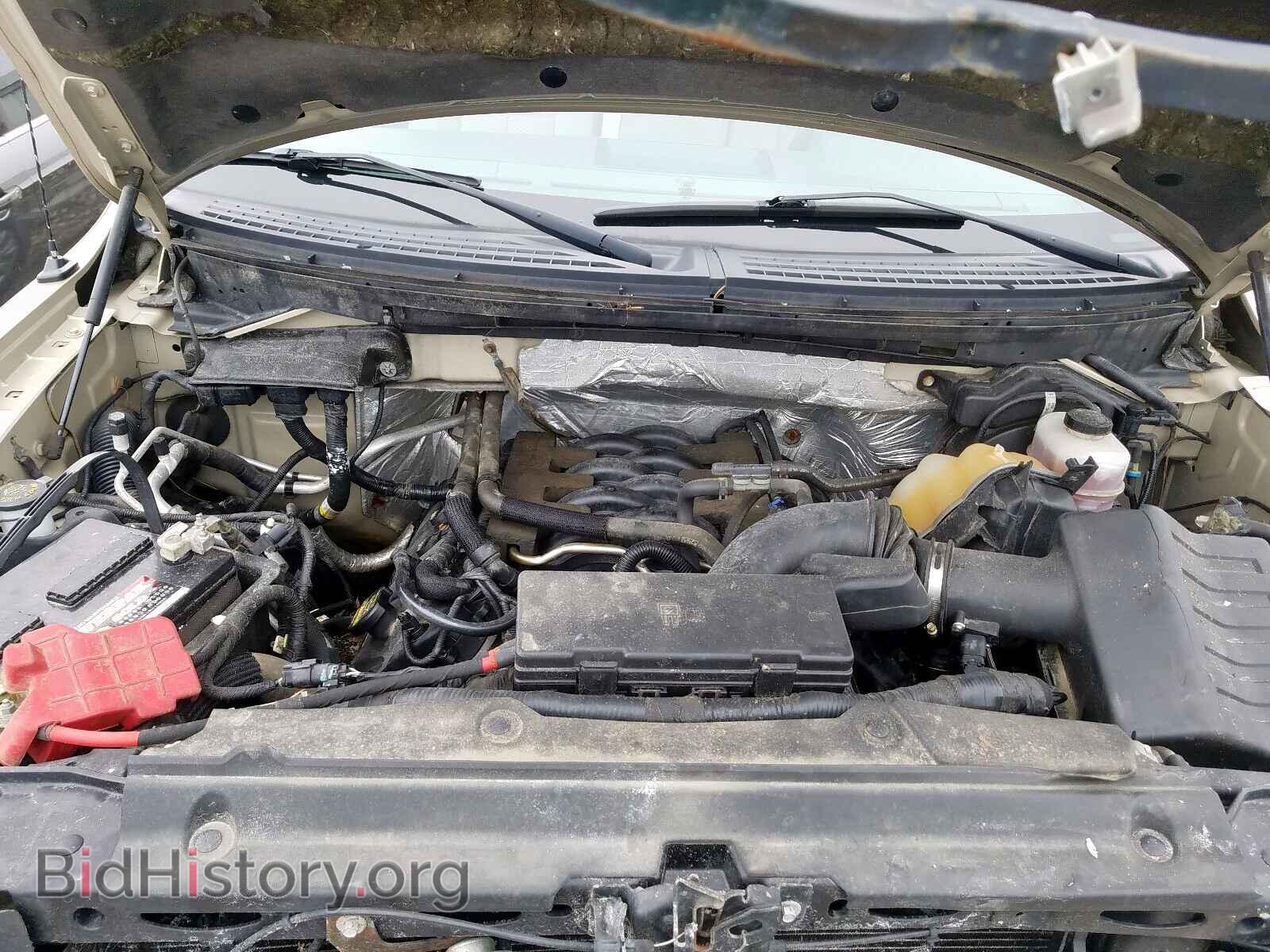 2011 FORD F150 - VIN: 1FTFX1EF7BFA71429 - Photo 7