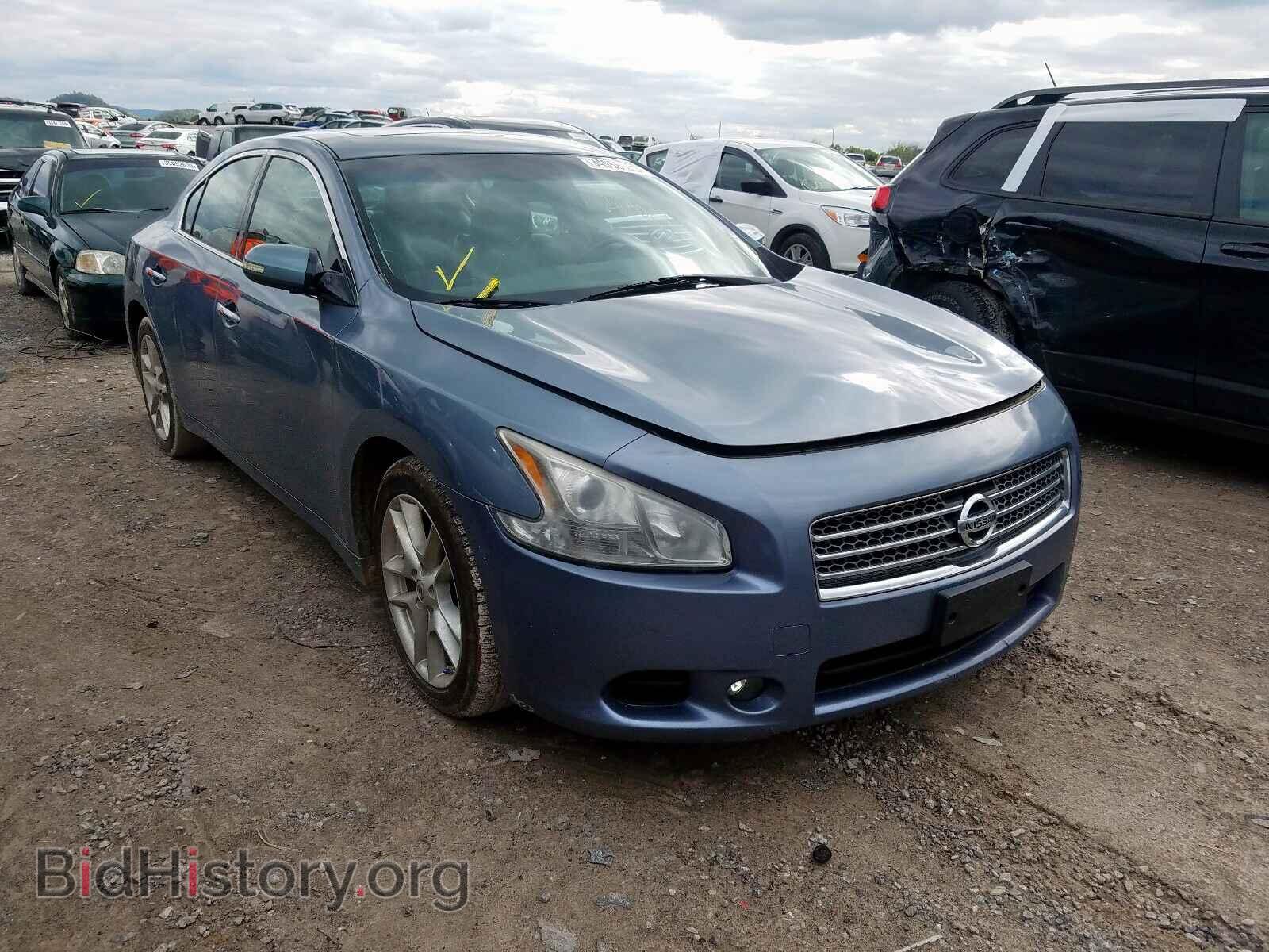 Photo 1N4AA5AP8BC834308 - NISSAN MAXIMA 2011