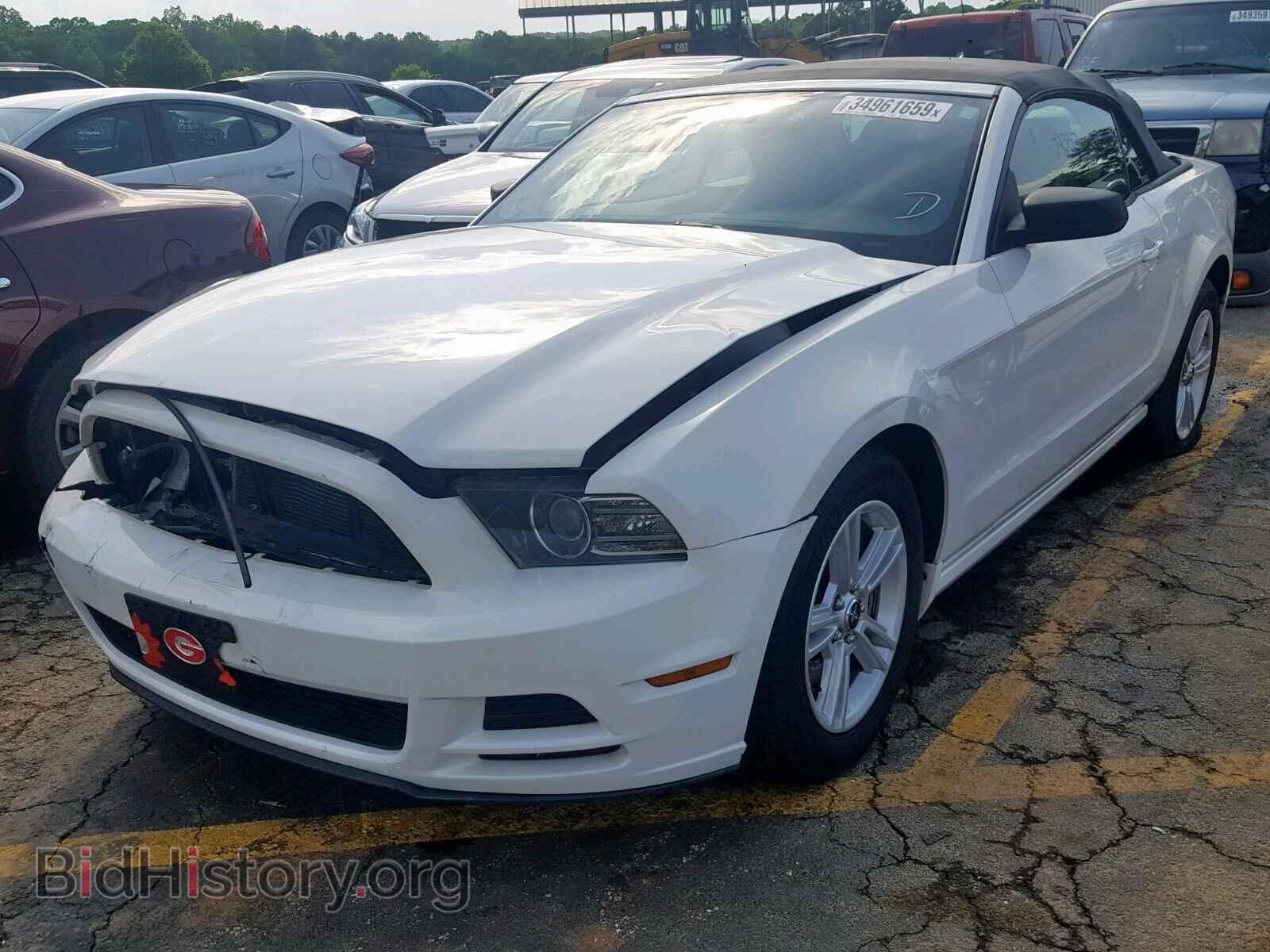 2013 FORD MUSTANG - VIN: 1ZVBP8EM2D5214167 - Фото 2