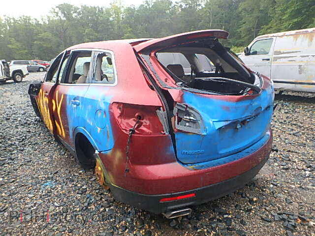2009 MAZDA CX-9 - VIN: JM3TB28A890164262 - Фото 3