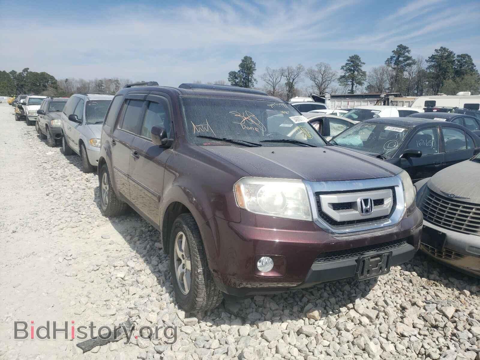 Фотография 5FNYF3H52BB024906 - HONDA PILOT 2011