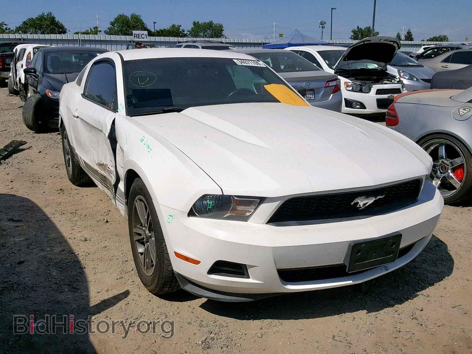 Фотография 1ZVBP8AM3C5286242 - FORD MUSTANG 2012