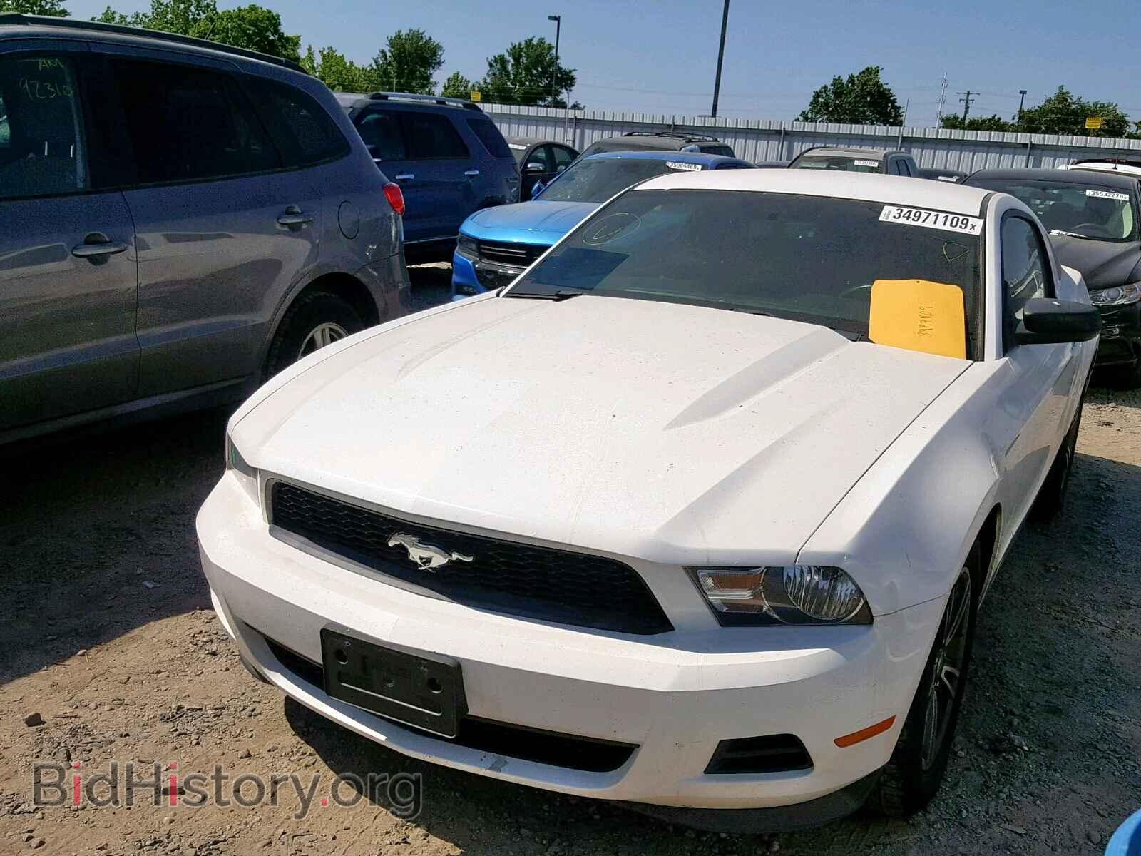 2012 FORD MUSTANG - VIN: 1ZVBP8AM3C5286242 - Фото 2