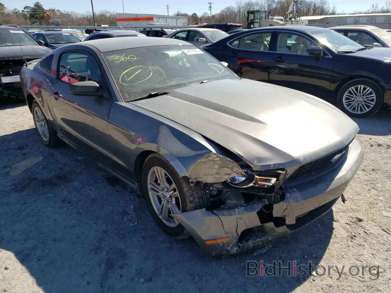 Photo 1ZVBP8AN7A5154526 - FORD MUSTANG 2010