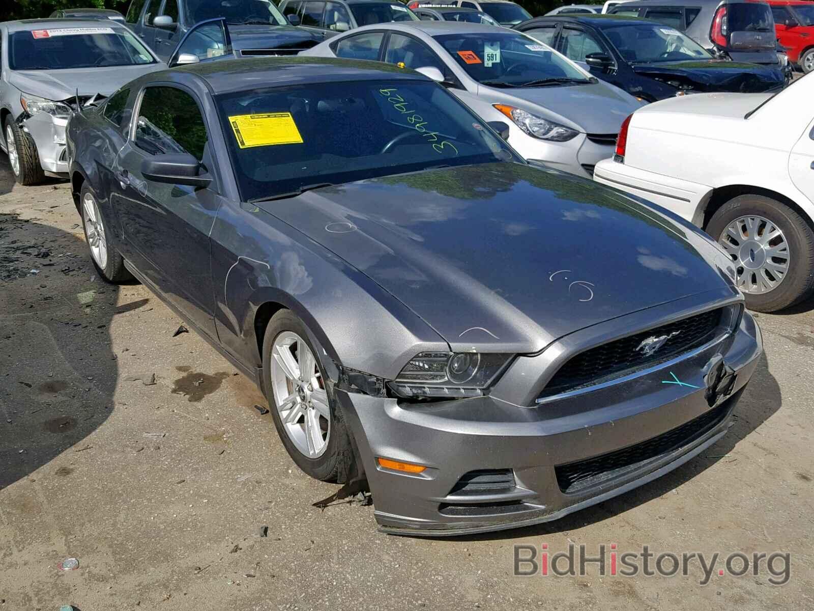 Photo 1ZVBP8AM0D5277130 - FORD MUSTANG 2013