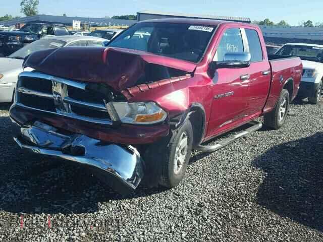 2011 DODGE RAM 1500 - VIN: 1D7RB1GP5BS608958 - Фото 2