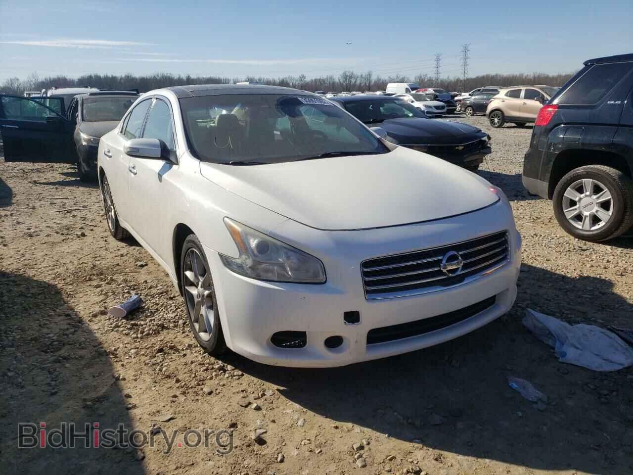 Фотография 1N4AA5AP4BC803430 - NISSAN MAXIMA 2011