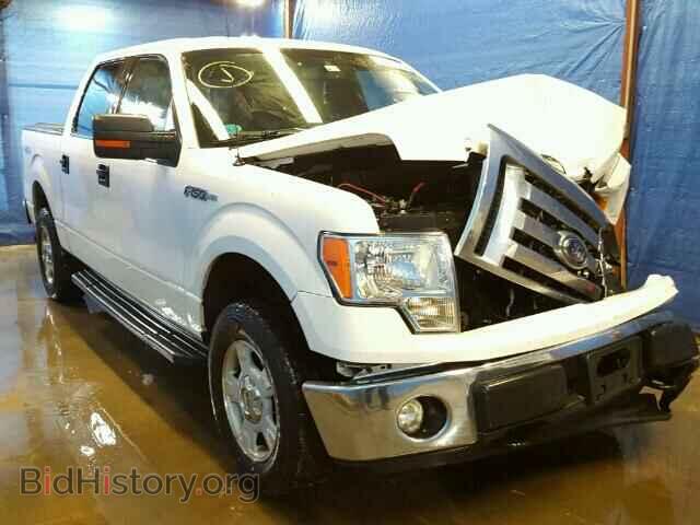 Фотография 1FTFW1EF0CFD01655 - FORD F150 2012