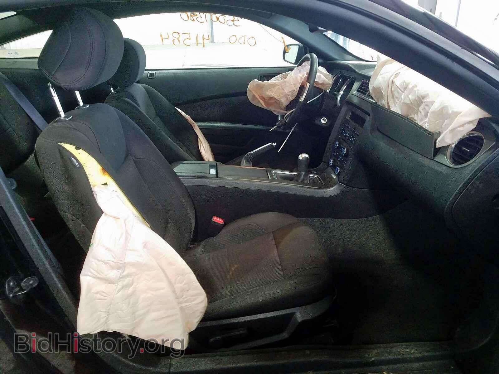 2013 FORD MUSTANG - VIN: 1ZVBP8CF5D5240802 - Фото 5