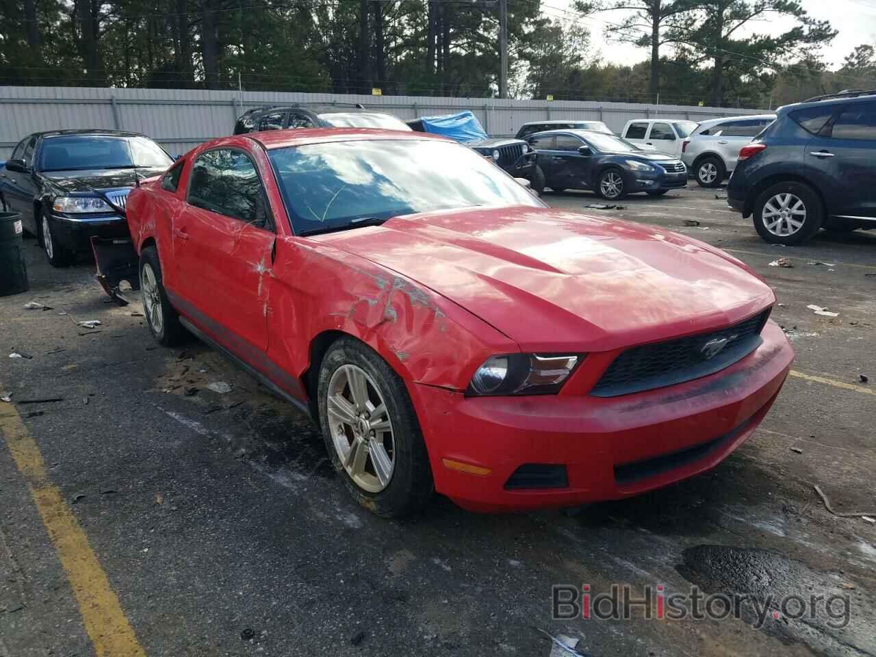 Photo 1ZVBP8AN3A5147931 - FORD MUSTANG 2010