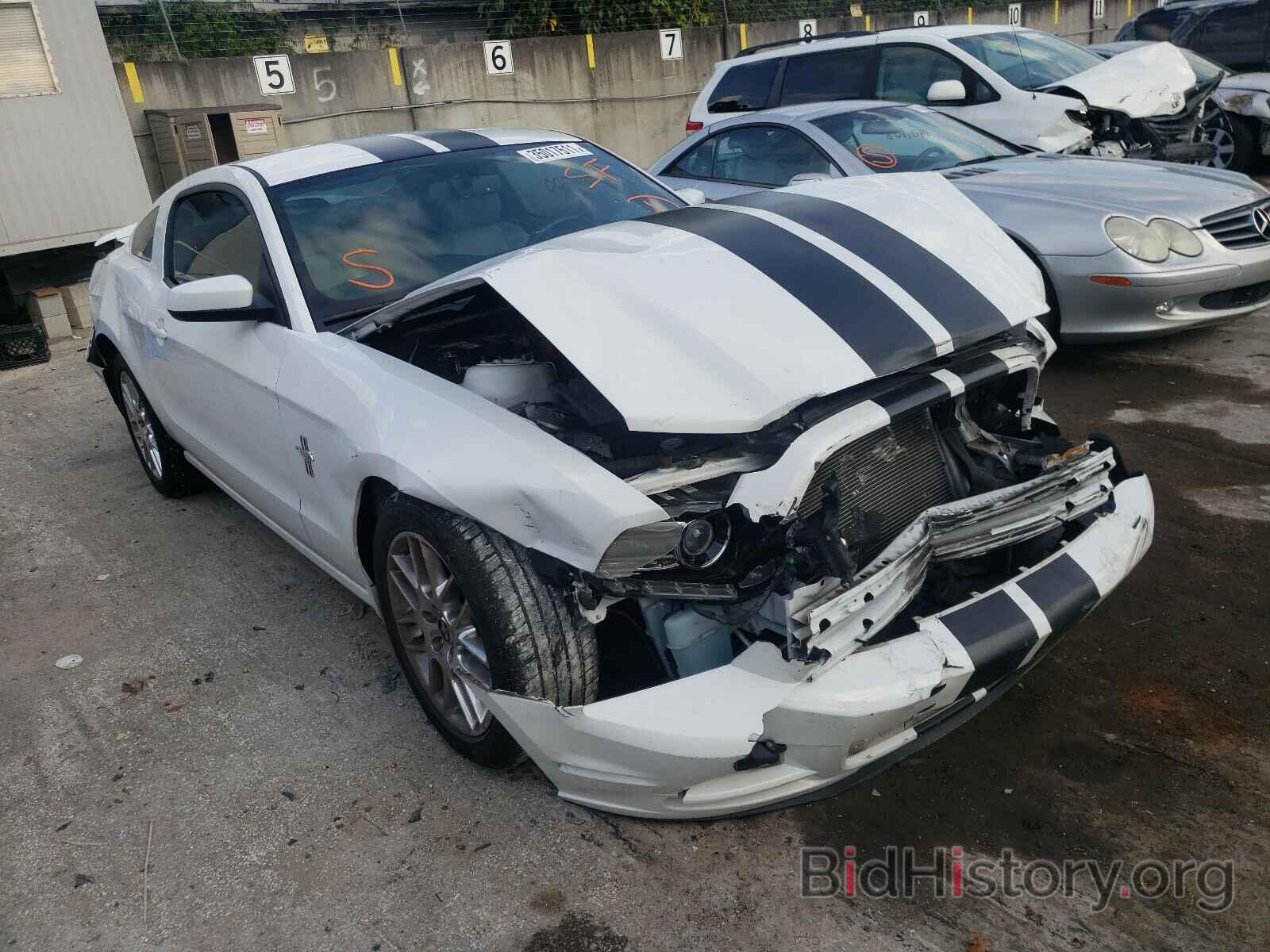 Photo 1ZVBP8AM1E5209551 - FORD MUSTANG 2014