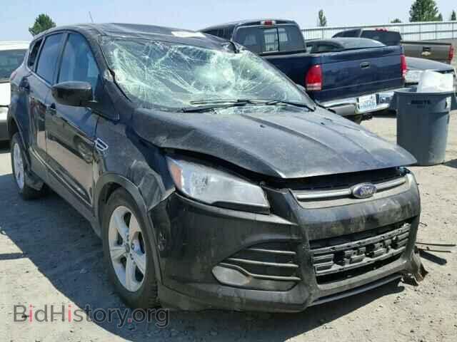 Фотография 1FMCU9G99EUD11027 - FORD ESCAPE 2014