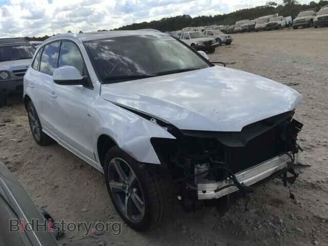Фотография WA1DGAFP3DA035407 - AUDI Q5 2013
