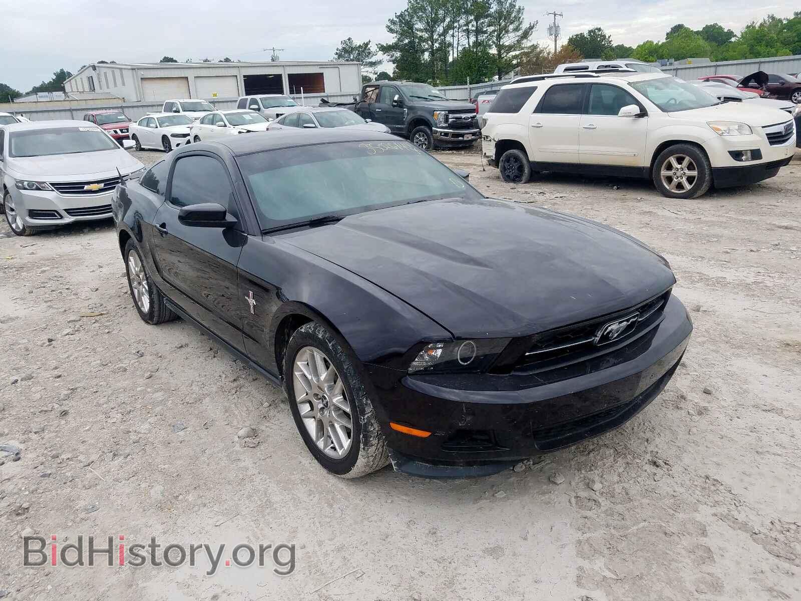Фотография 1ZVBP8AMXC5214504 - FORD MUSTANG 2012