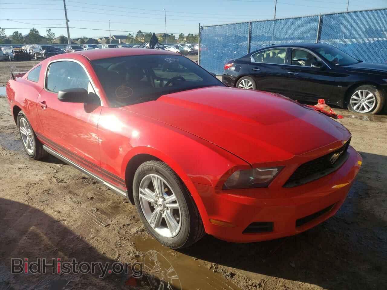 Фотография 1ZVBP8AM2B5128649 - FORD MUSTANG 2011