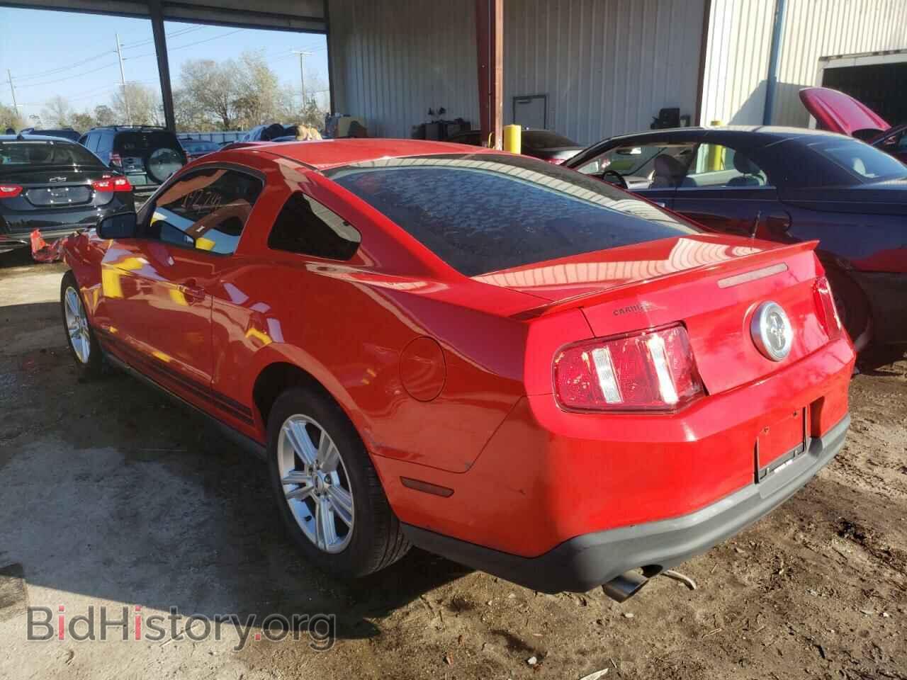 2011 FORD MUSTANG - VIN: 1ZVBP8AM2B5128649 - Фото 3