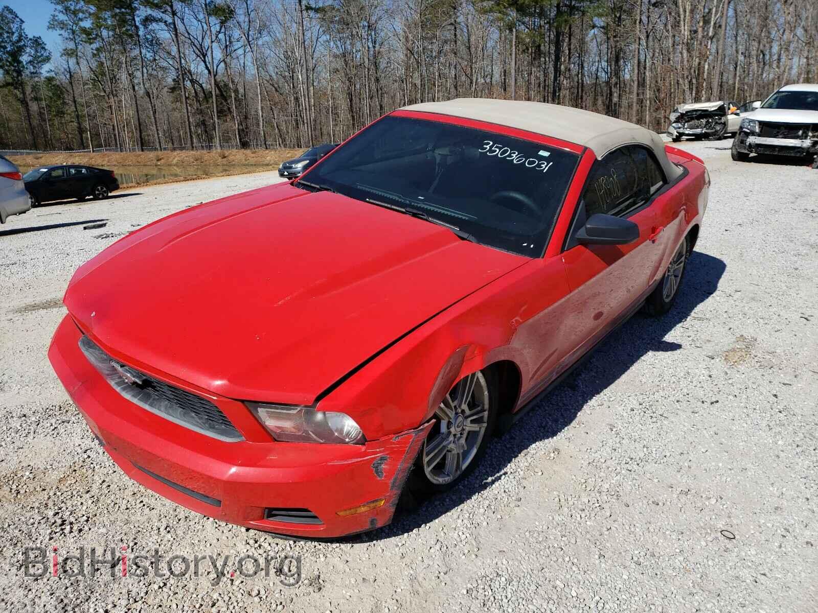 2011 FORD MUSTANG - VIN: 1ZVBP8EM7B5140659 - Фото 2