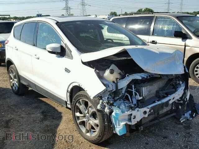 Фотография 1FMCU0HX4DUC84312 - FORD ESCAPE 2013