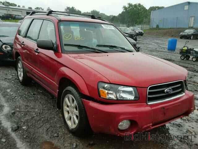Photo JF1SG65615H701391 - SUBARU FORESTER 2005