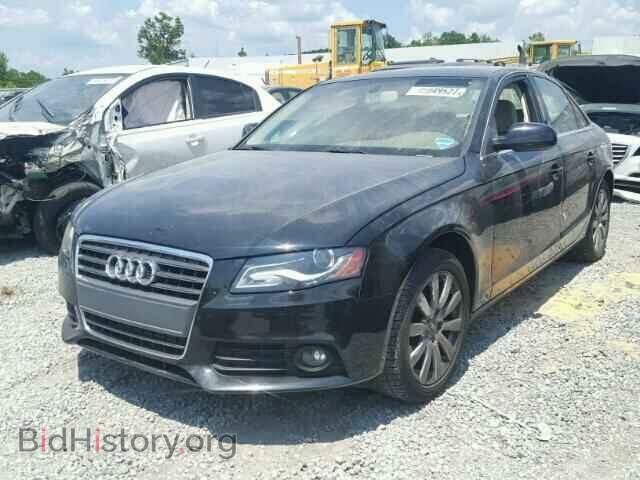 2010 AUDI A4 - VIN: WAUEFAFL7AN062542 - Фото 2