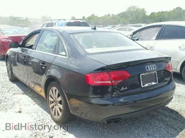 2010 AUDI A4 - VIN: WAUEFAFL7AN062542 - Фото 3