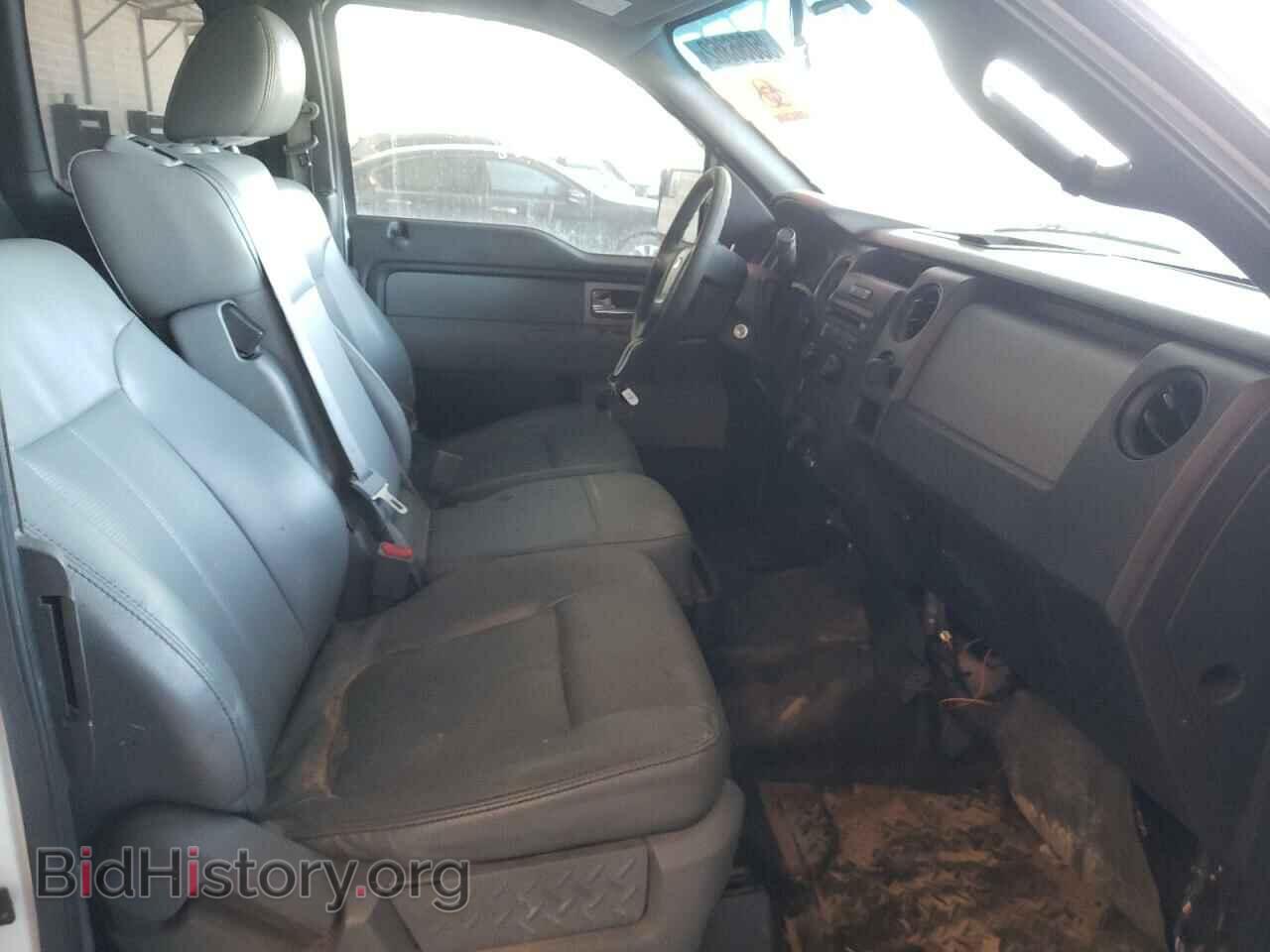 2011 FORD F-150 - VIN: 1FTFX1EF0BFC66465 - Фото 5