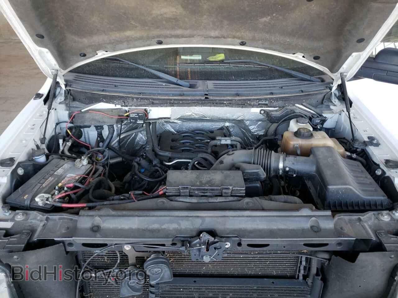 2011 FORD F-150 - VIN: 1FTFX1EF0BFC66465 - Фото 7