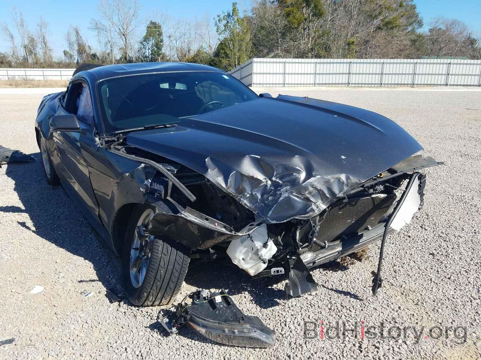 Photo 1FA6P8AM6H5301351 - FORD MUSTANG 2017