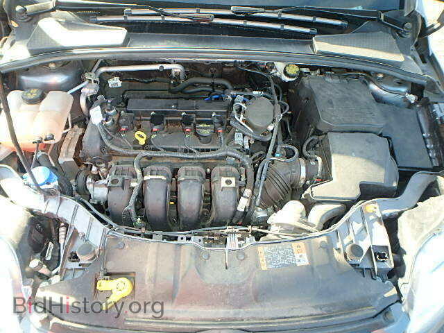 2014 FORD FOCUS - VIN: 1FADP3K22EL282358 - Фото 7