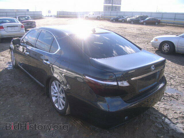 2010 LEXUS LS460 - VIN: JTHCL5EF7A5005133 - Фото 3
