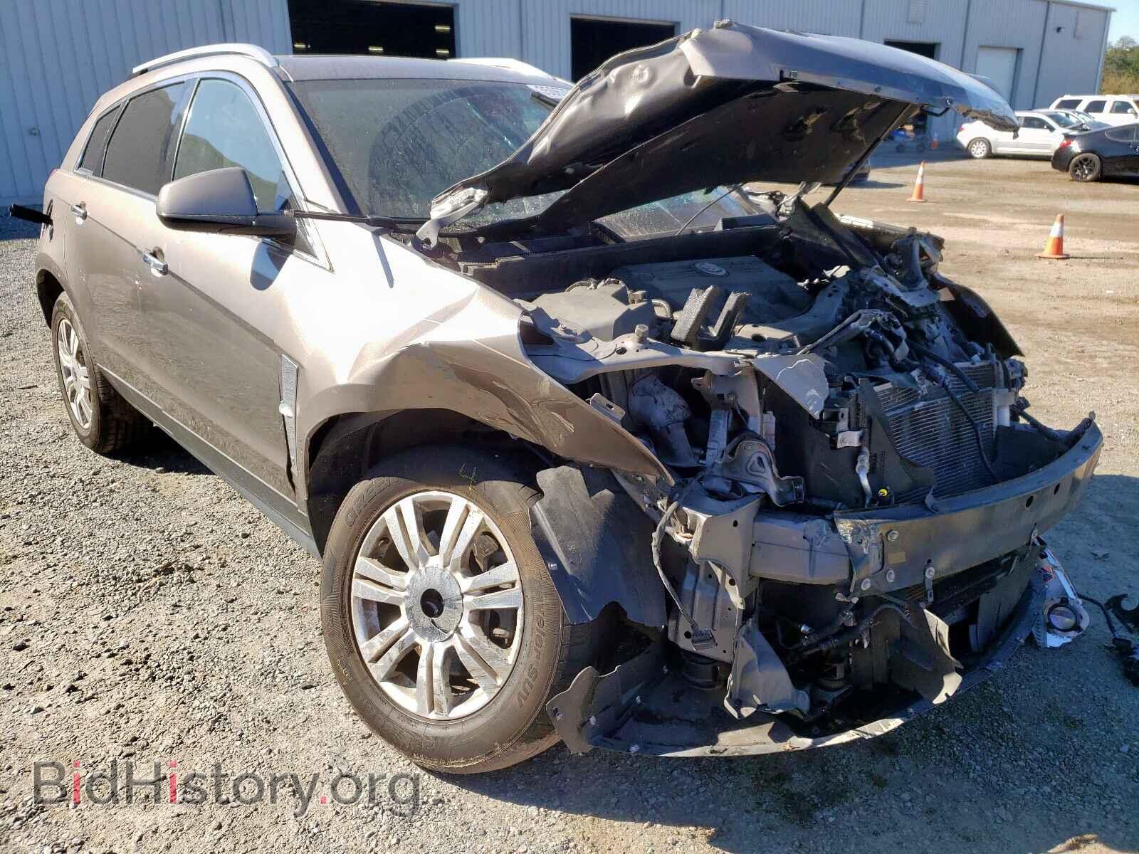 Фотография 3GYFNAEY2BS679727 - CADILLAC SRX 2011