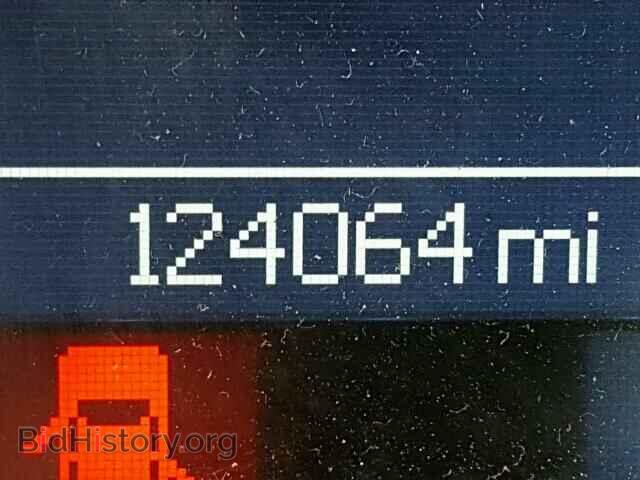 2011 DODGE DURANGO - VIN: 1D4SE4GT9BC691860 - Photo 8