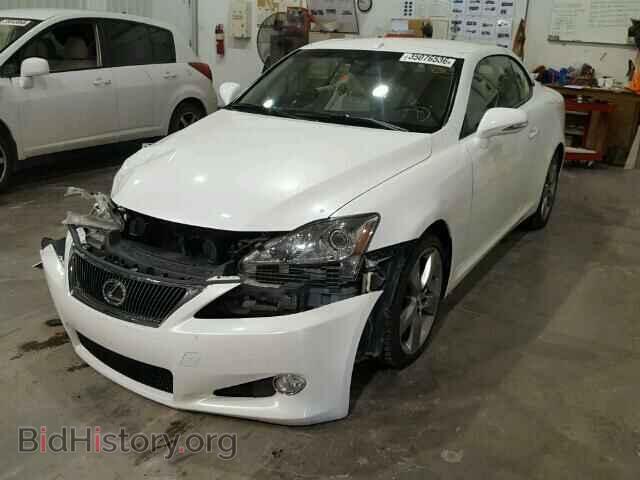 2010 LEXUS IS250 - VIN: JTHFF2C24A2503522 - Фото 2