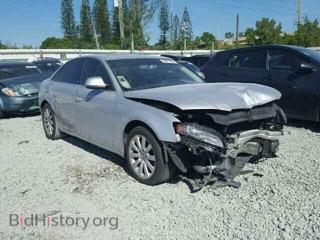 Фотография WAUSF78K19N034614 - AUDI A4 2009