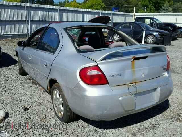 2004 DODGE NEON - VIN: 1B3ES56C34D512088 - Фото 3