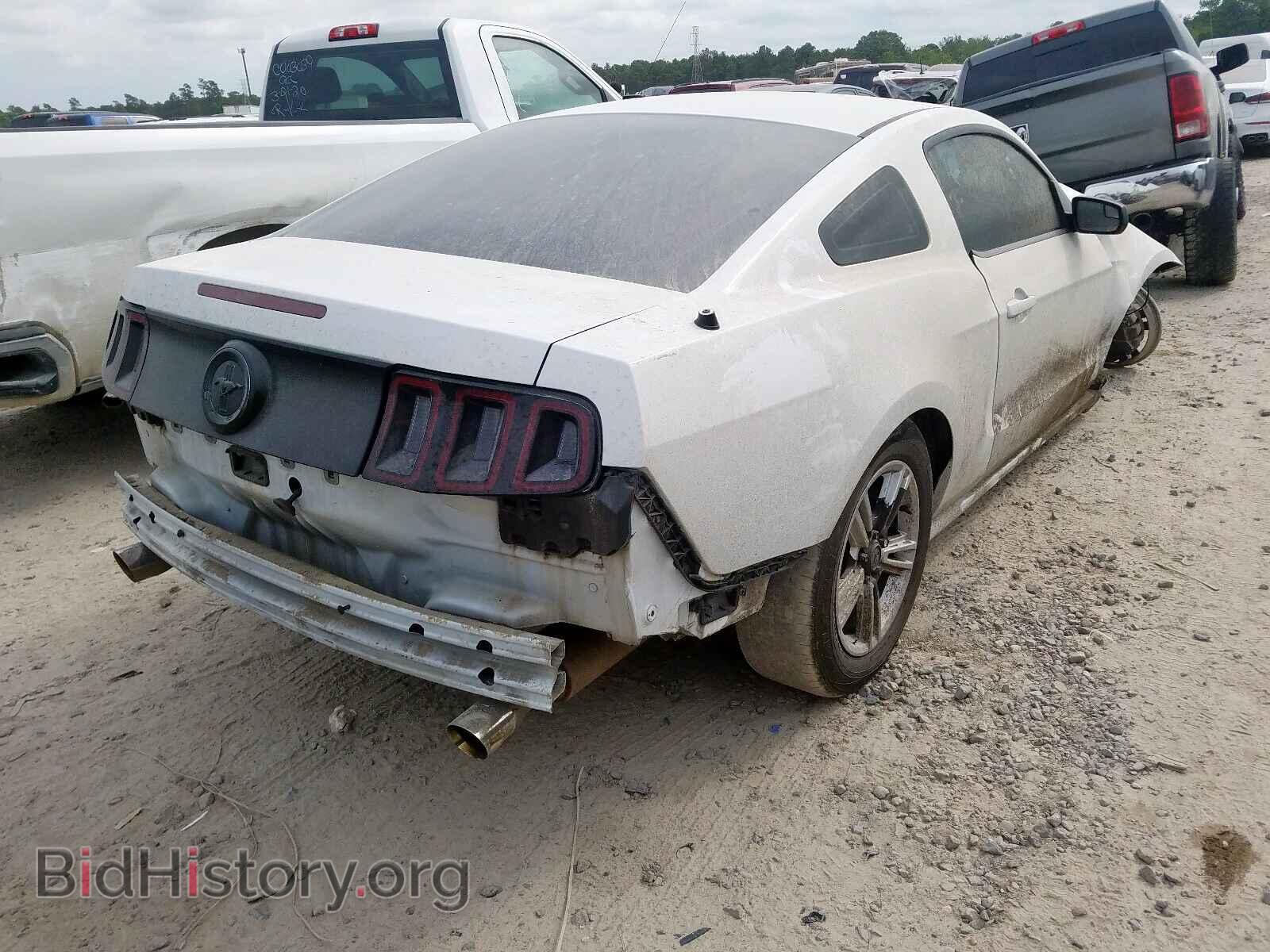 2014 FORD MUSTANG - VIN: 1ZVBP8AM7E5201745 - Фото 4