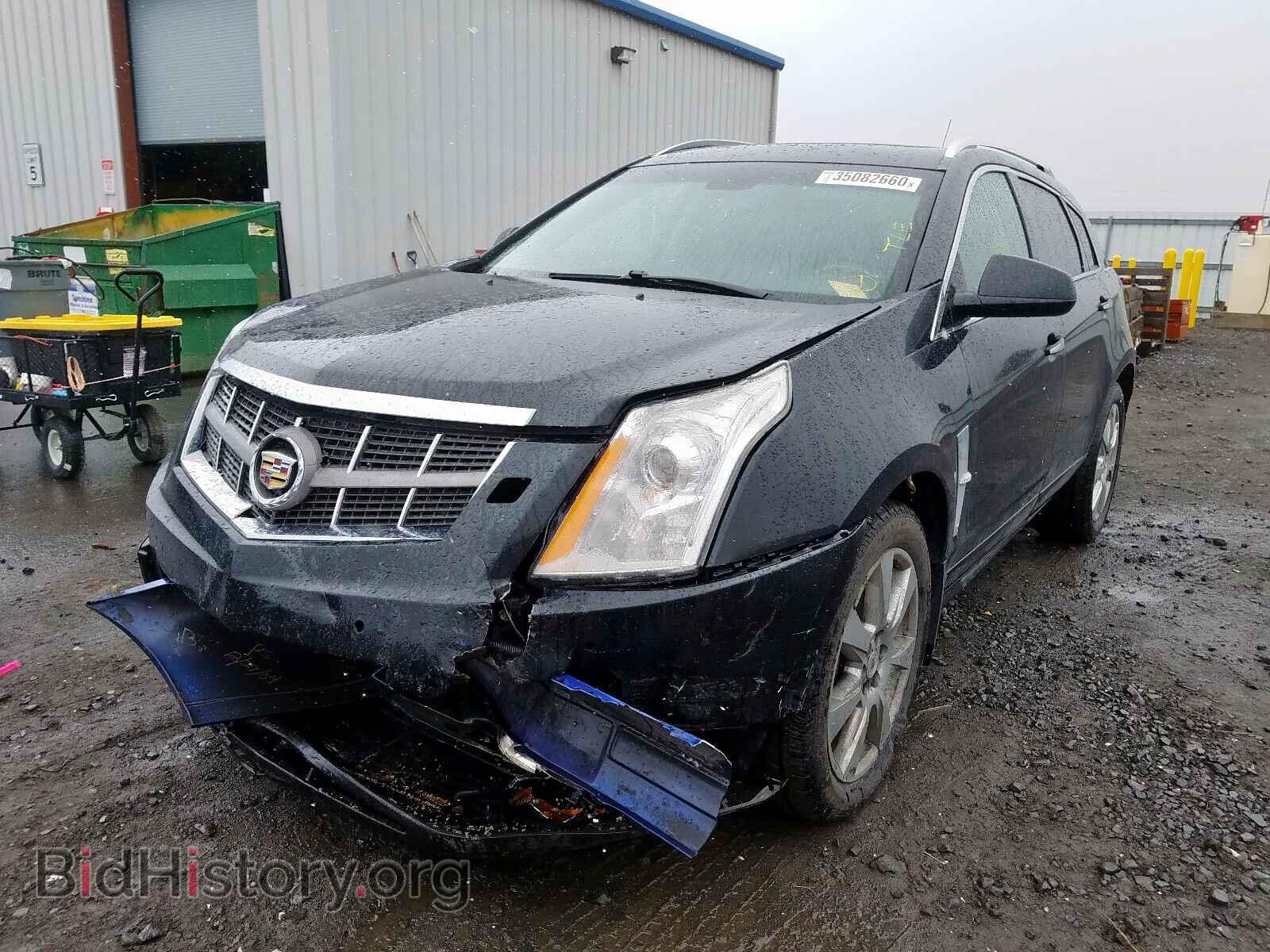 2011 CADILLAC SRX - VIN: 3GYFNFEY2BS580872 - Фото 2