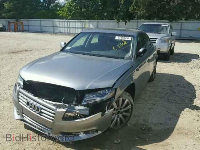 2010 AUDI A4 - VIN: WAUFFAFL5AN038339 - Фото 2