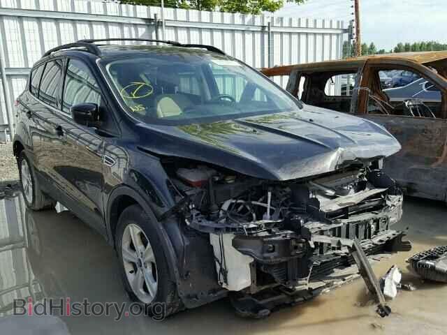 Фотография 1FMCU0GX2DUB41330 - FORD ESCAPE 2013