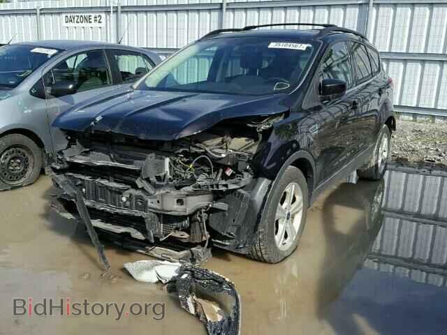 2013 FORD ESCAPE - VIN: 1FMCU0GX2DUB41330 - Фото 2