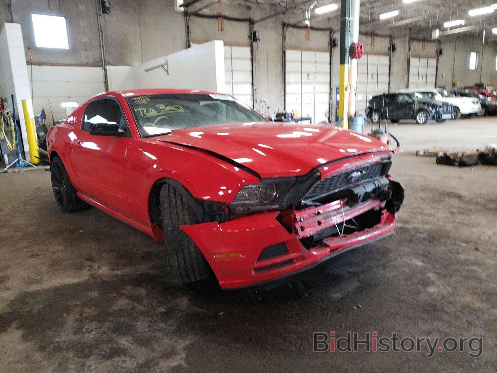 Photo 1ZVBP8AM4E5254774 - FORD MUSTANG 2014
