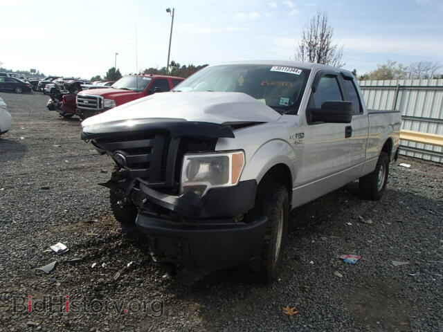 2011 FORD F150 - VIN: 1FTFX1EF6BFB23973 - Фото 2