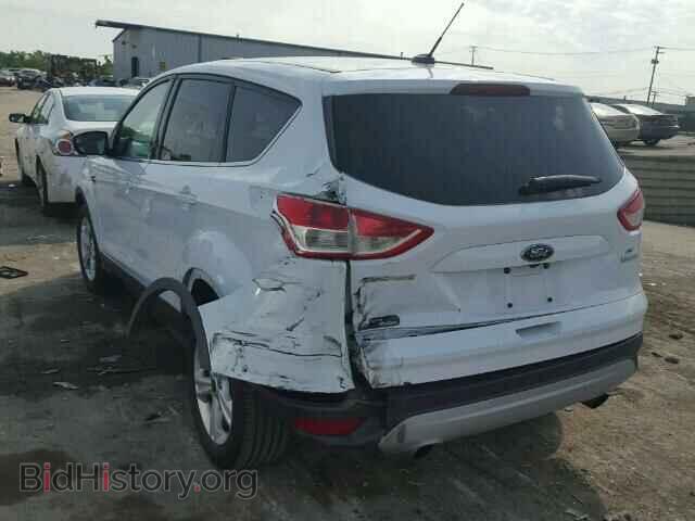 2014 FORD ESCAPE - VIN: 1FMCU0GX4EUB56770 - Фото 3