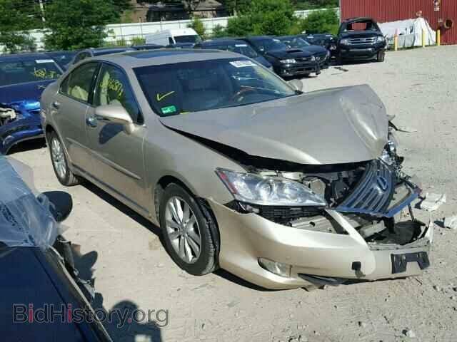 Photo JTHBK1EG5A2371688 - LEXUS ES350 2010
