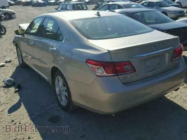 2010 LEXUS ES350 - VIN: JTHBK1EG5A2371688 - Фото 3