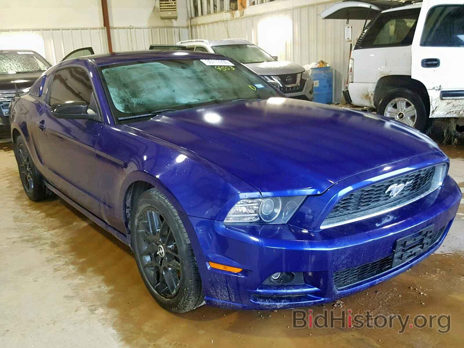 Photo 1ZVBP8AM1E5294553 - FORD MUSTANG 2014