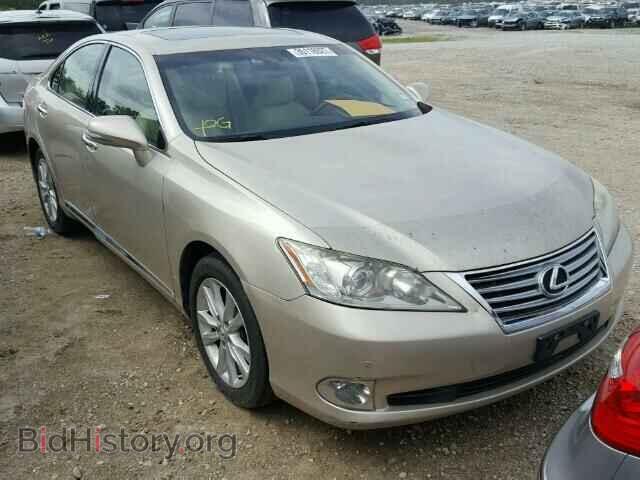 Photo JTHBK1EG4A2400808 - LEXUS ES350 2010